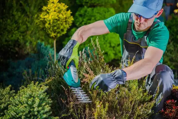 landscaping services Averill Park